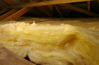 Moity pitch roof insulation
